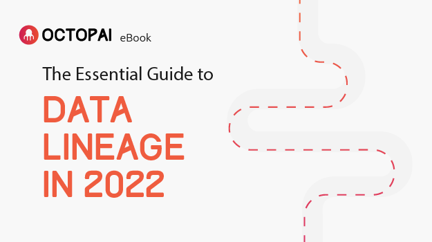 What Is Data Lineage Octopai